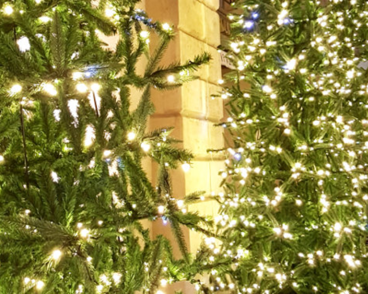 Secrets of Christmas