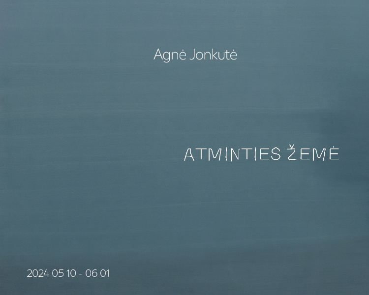 Vilnius events
