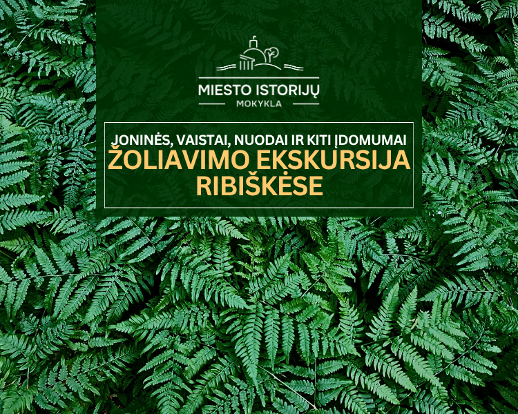 Herbal Foraging Tour in Ribiškės: Midsummer, Remedies, Poisons, and Other Wonders, event in Vilnius