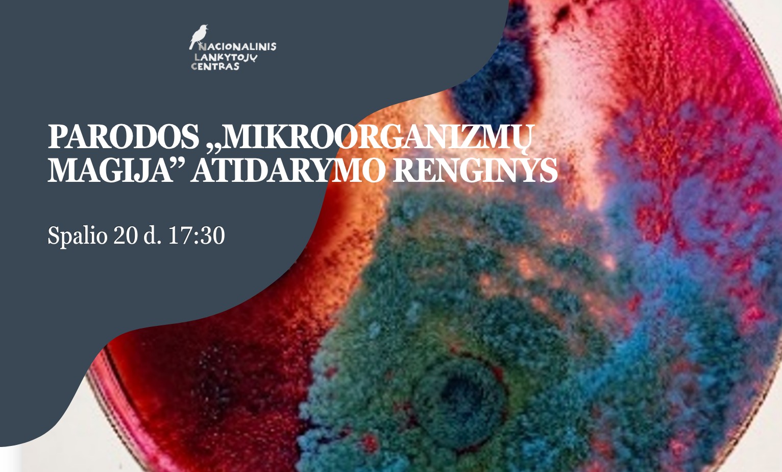 Exhibition Opening: “The Magic of Microorganisms”