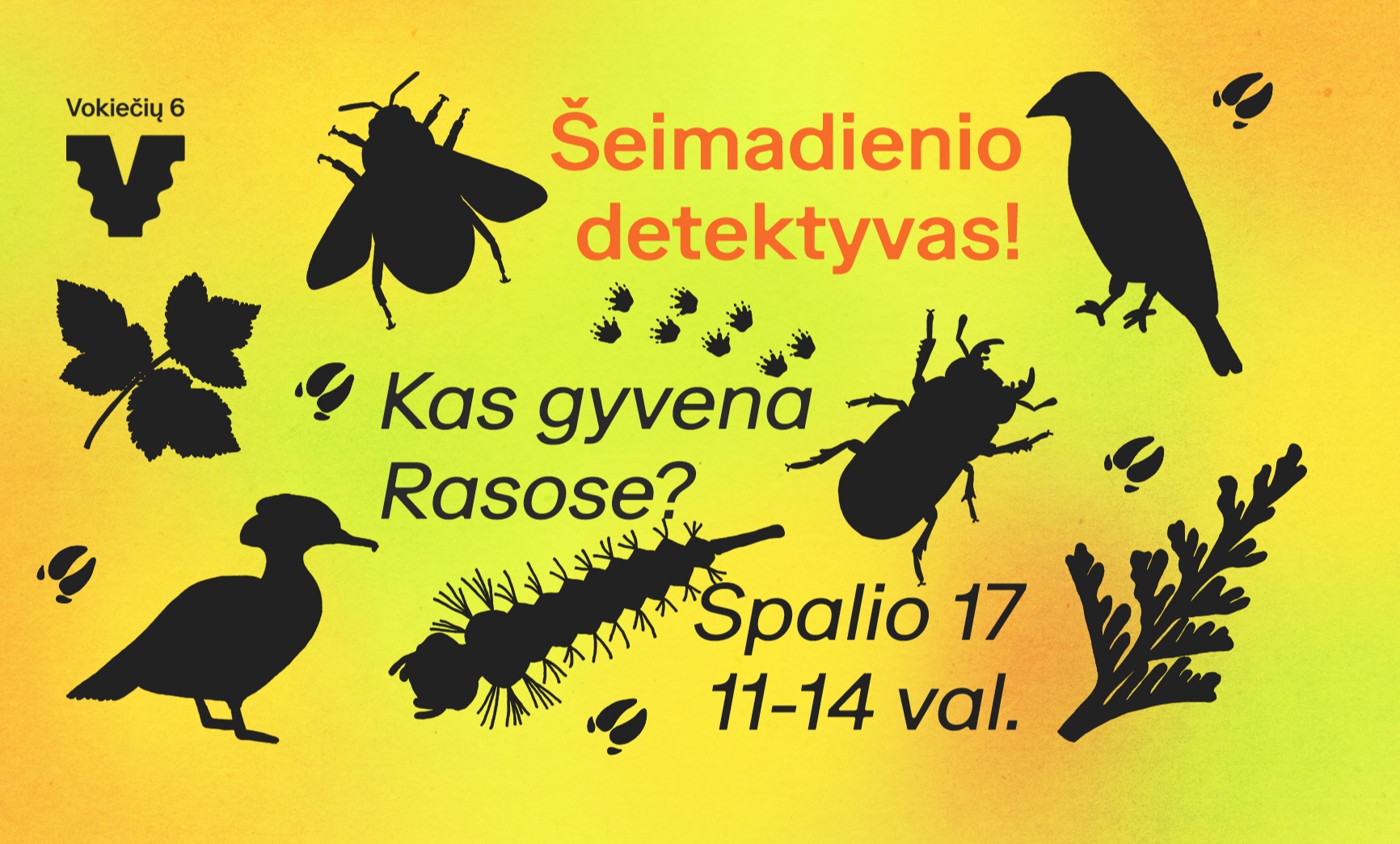 (LT) Šeimadienio detektyvas! Kas gyvena RASOSE?